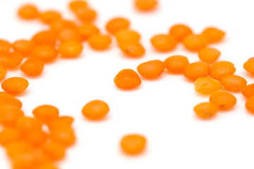 Red lentils on a white background