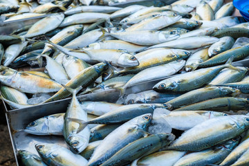 Fresh sea fish in local market