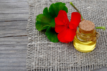 Geranium essential oil in a glass bottle with flower and leaf of the geranium plant on wooden background.Geranium oil for spa,aromatherapy and bodycare.Extract oil of geranium.Selective focus.