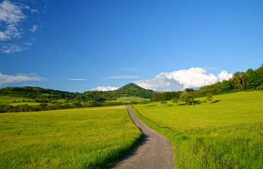 Naklejka premium Hohenstaufen