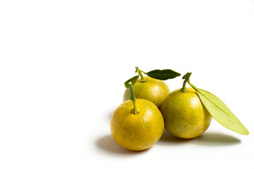 Closed up of kumquat orange that placed on white background