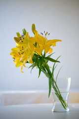 Vibrant yellow lilies in a vase. Spring or summer concept