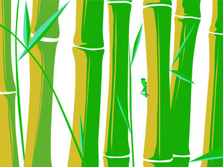 Vector images with a grasshopper resting in bamboo plants over a white background.