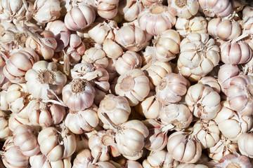 Garlic. Organic vegetable. Food background.