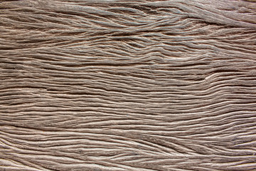 Surface bark texture close up as a background
