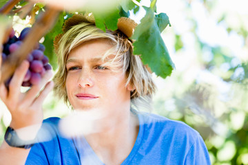 Boy in vineyard