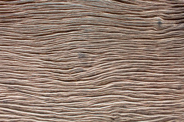 Surface bark texture close up as a background