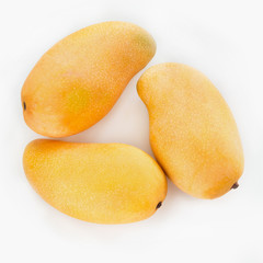 Fresh three mango fruit on white background.