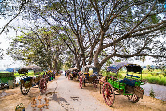 Burmaneses tourists tour at horse drawn carriage in Innwa, near Mandaley. Myanmar