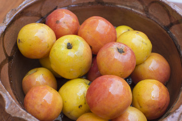 Spondias purpurea jocote plum fruit