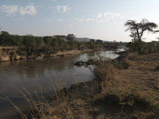 Flowing river in Kenya, Africa