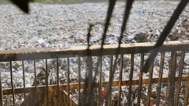 kind of behind the wheel bulldozer pushes trash across a landfill