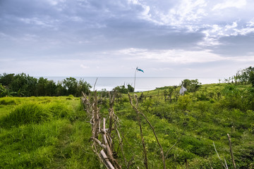 Dramatic sky over meadow