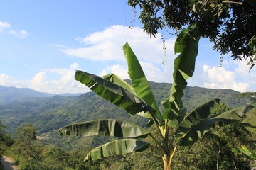 Paisaje del occidente. de Antioquia, Colombia. © LUIS F. SALDARRIAGA