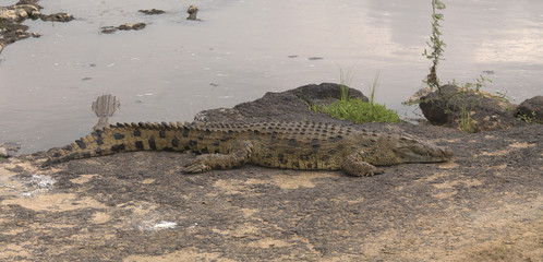 Kenya, Africa