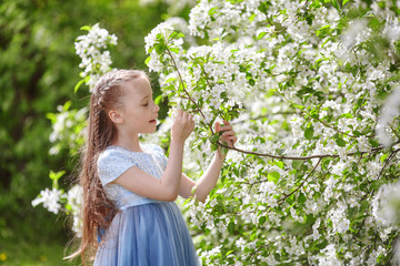 Cute little girl in blooming apple tree garden at spring