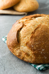 Round baked bread on gray stone background

