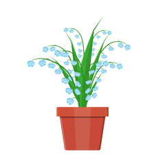 Flower plant in flower pot. Decoration home plant.