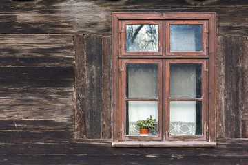 Obraz premium Old wooden window frame with potted plant.