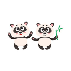 Two cute, funny happy baby panda characters standing, looking up, cartoon vector illustration isolated on white background. Couple of cute little panda bear characters, mascots with paws raised up