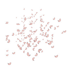 Falling, flying petals of roses, cherry blossoms, cherries, apricots, apple-trees. Whirlwind, wedding background