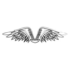 graffiti wings feathers decoration design image vector illustration