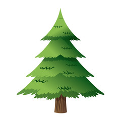 christmas pine tree celebration party decoration vector illustration.