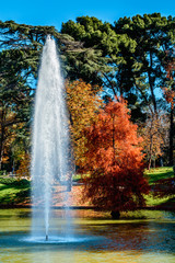 Water Fountain by Trees 