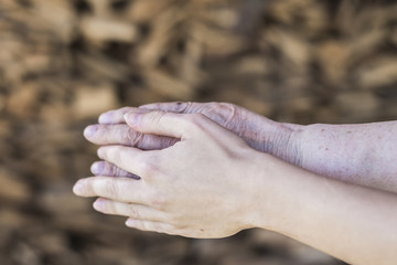 Old and new human hands