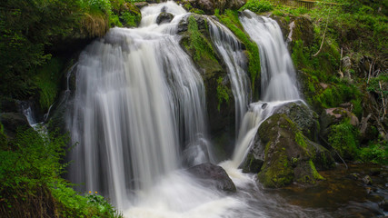 Fototapeta na wymiar Black forest - Triberg waterfall time exposure with green plants