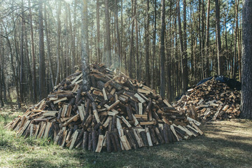 firewood