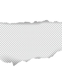 Ripped paper transparent with space for text