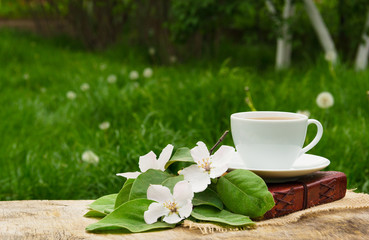 A cup of black tea, a book and a branch of a blossoming apple tree. Apple blossom and fragrant tea.