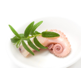 Octopus - tentacles of octopus on a dish isolated on white background

