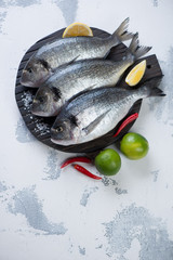 Raw fresh dorado fish with seasonings, white concrete background with copyspace, high angle view