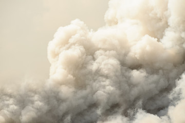 Smoke © venusvi