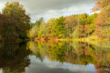 Reflets d'automne