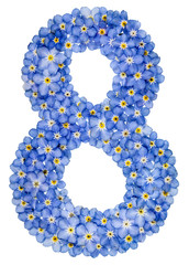 Arabic numeral 8, eight, , from blue forget-me-not flowers