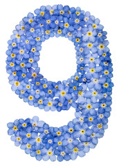Arabic numeral 9, nine, from blue forget-me-not flowers