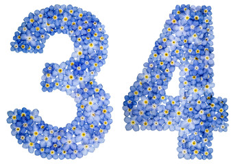 Arabic numeral 34, thirty four, from blue forget-me-not flowers