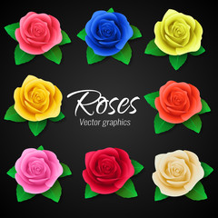 A set of realistic roses in different colors. Vector graphics