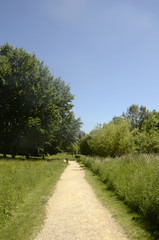 Fototapeta na wymiar Parc régional du Scheutbos (Molenbeek-Saint-Jean, Belgique)
