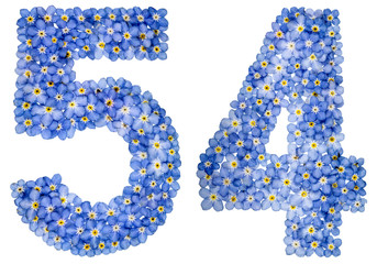 Arabic numeral 54, fifty four, from blue forget-me-not flowers