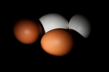 Chicken eggs on a black background
