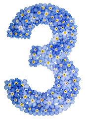 Arabic numeral 3, three,, from blue forget-me-not flowers