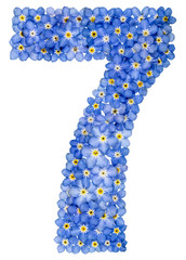 Arabic numeral 7, seven,, from blue forget-me-not flowers