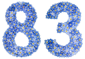 Arabic numeral 83, eighty three, from blue forget-me-not flowers