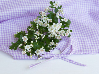 Hawthorn blossom on purple gingham with a bow