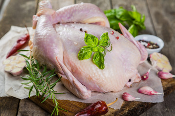Raw whole chicken with herbs and spices on rustic wood background