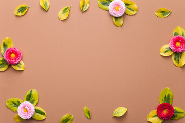 Fototapeta na wymiar Daisies with Leaves on Brown Background